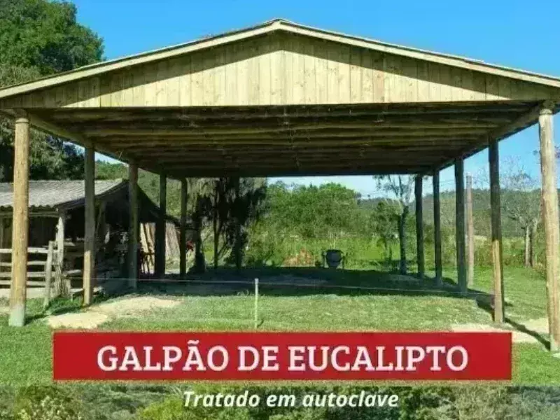Galeria 4