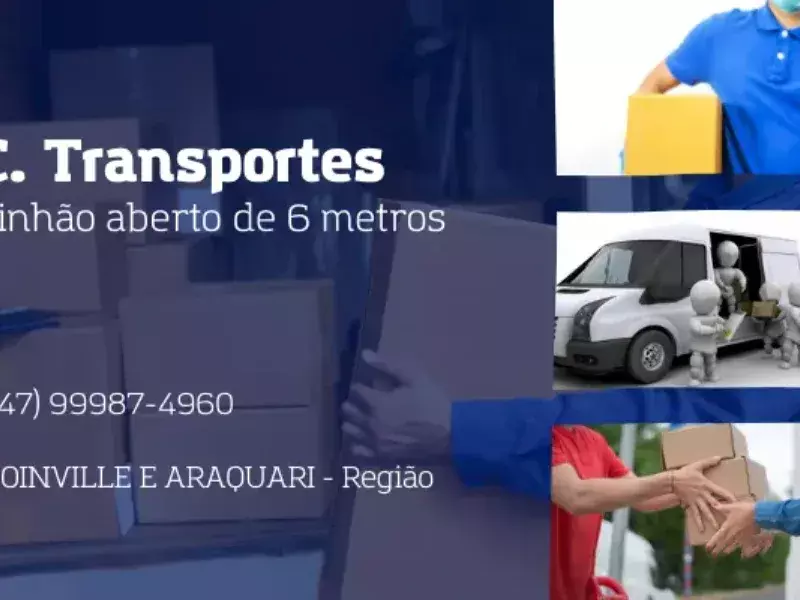 b-c-transportes-57190-02364