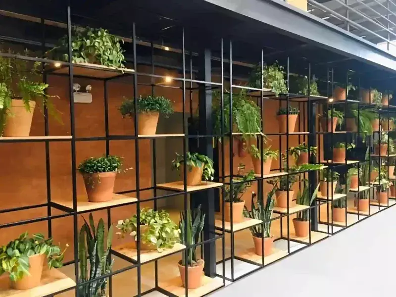 barni-garden-center-67508-e7e3e