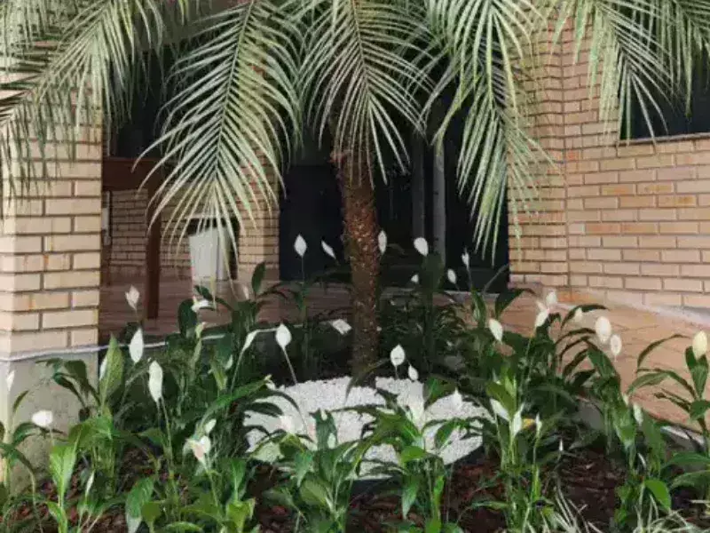 floricultura-e-jardinagem-pingo-de-ouro-59358-61b16