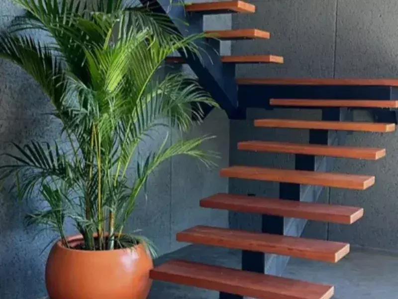 floricultura-e-jardinagem-pingo-de-ouro-59358-8eb02