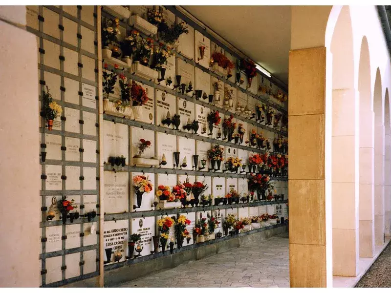 Galeria 1